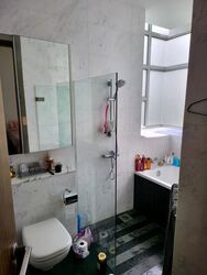 Spring Residences (D10), Condominium #476498271